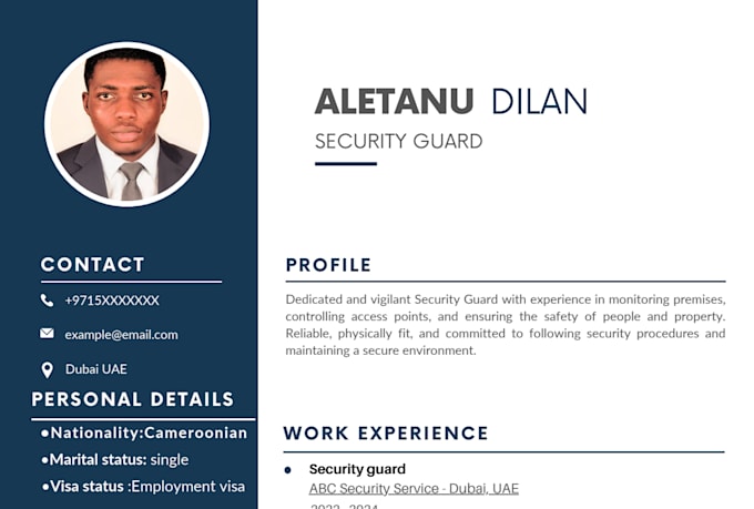 design a professional CV or resume using canva